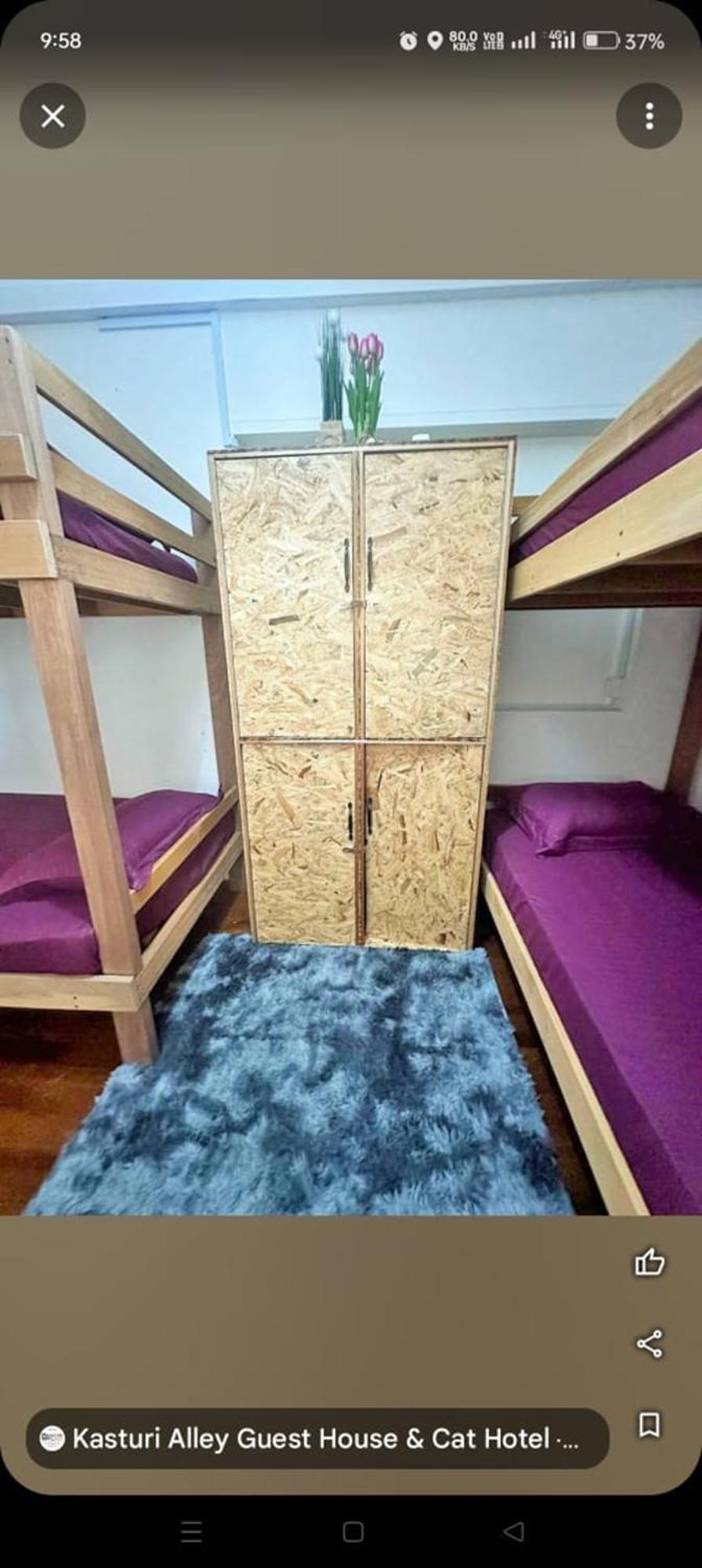 Spot On 90898 Kasturi Alley Guest House & Cat Hotel Malacca Luaran gambar